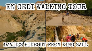 Video: Tour of David's Hideout from King Saul | HolyLandSite