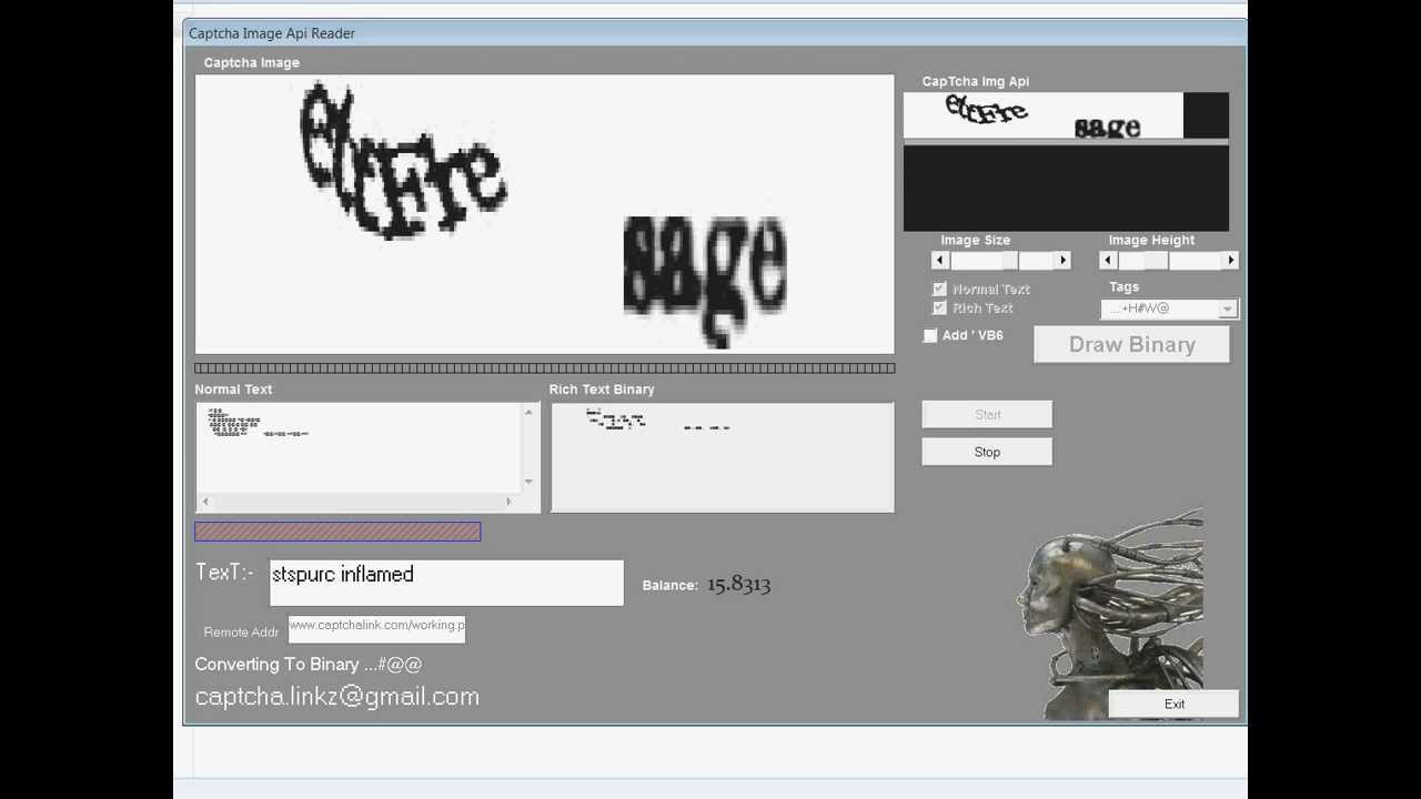 Auto captcha entry software