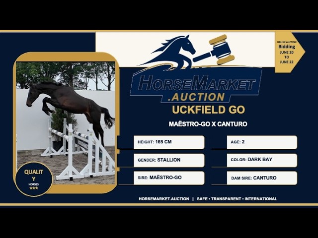 Uckfield Go