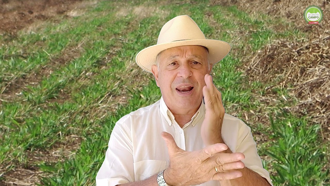 Antes de plantar, entenda sobre a dormência das sementes