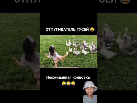 ОТПУГИВАТЕЛЬ ГУСЕЙ 😂