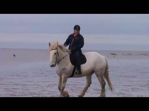 Alan&Millie Ride on West Kirkby beach.