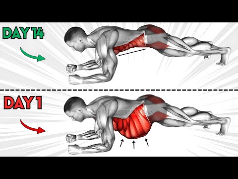 5 min different plank exercises to lose belly fat/abs