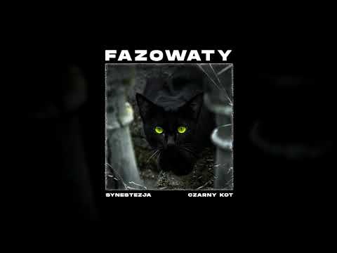 17. Fazowaty - Czarny kot ("Synestezja LP")