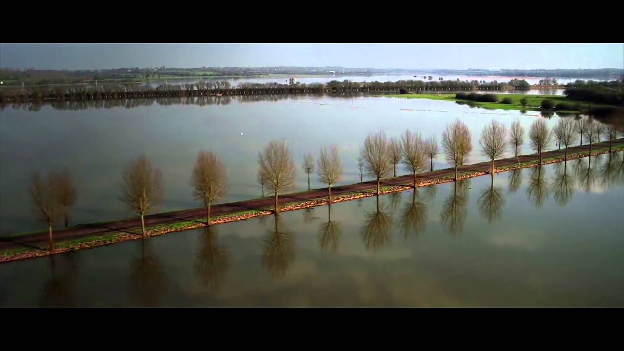Marais vus du ciel