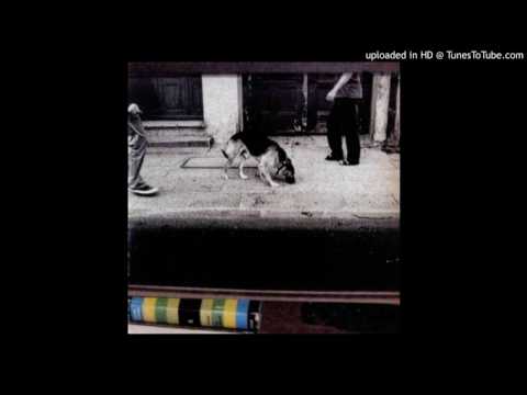 Ścianka - Białe Wakacje