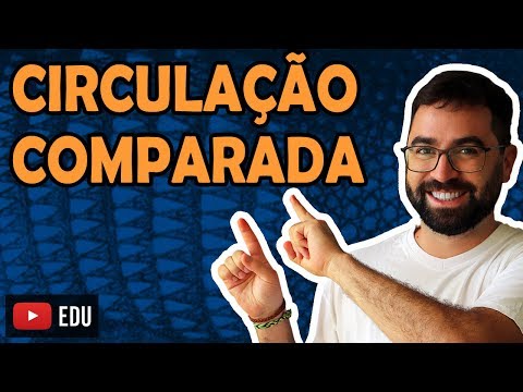 Comparative Circulation (Animal Physiology) - Class 35 - Module VI: Zoology | Prof. Gui