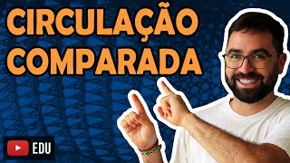 Circulação Comparada (Fisiologia Animal) - Aula 35 - Módulo VI: Zoologia | Prof. Gui