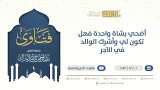 صورة فتاوى الأضحية