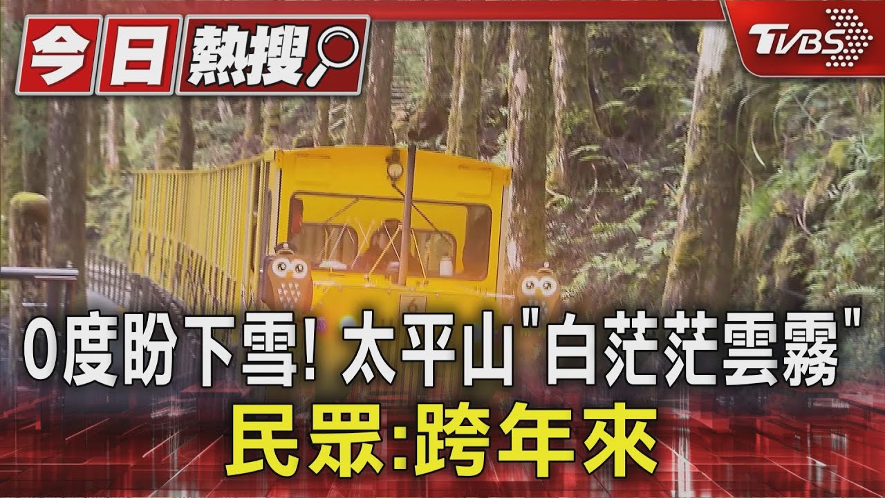 0度盼下雪！　太平山「白茫茫雲霧」　民眾：跨年來