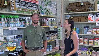 Brady Nursery