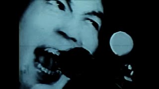 Music video thumbnail preview for bloodthirsty butchers - さよなら文鳥 (Sayonara Bunchou) [HD Remastered MV] by bloodthirsty butchers