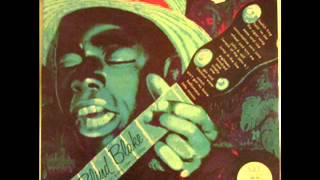 Blind Blake - Gin &amp; Coconut Water