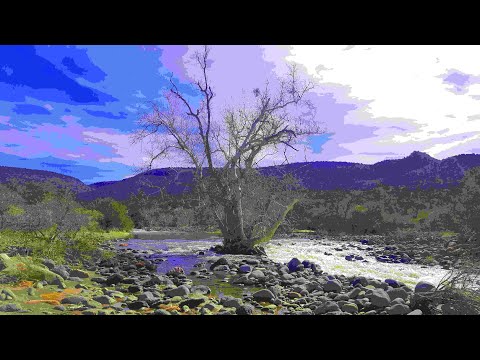 The Overstory: 7th Chapter (Neelay Mehta)