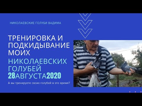 Тренировка и подкидывание моих николаевских голубей 28августа2020