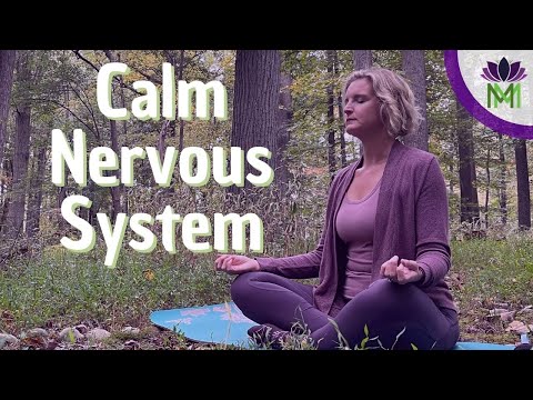 20 Minute Guided Meditation for Reducing Anxiety and Stress Clear the Clutter to Calm Down