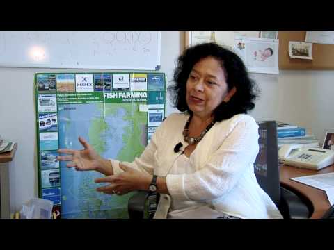 Fotograma del vídeo: Agricultura climáticamente inteligente