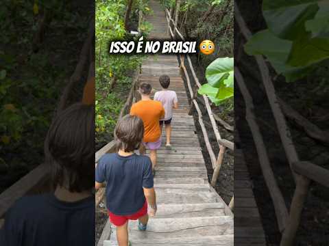 Você acredita que isso fica no Pará? 🇧🇷✨