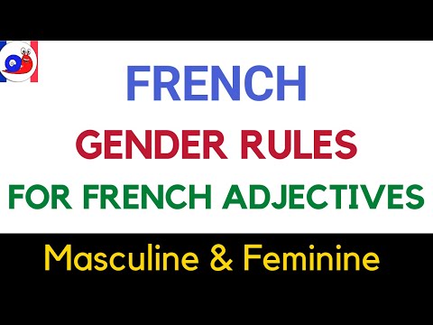 French Adjectives Gender rules - Masculine and Feminine