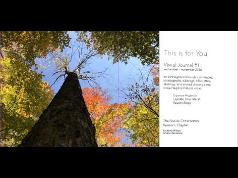 TNC 12 1 20 elizabeth billings talk