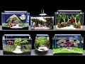 TOP 6 How To Make Mini Planted Fish Tank At Home Idea 6 DIY Aquascape Aquarium Decoration Ideas 142