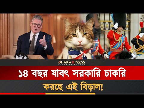 প্রধানমন্ত্রী গেল ৫ জন, তবু সরকারি চাকরি ধরে রেখেছে এই বিড়াল!