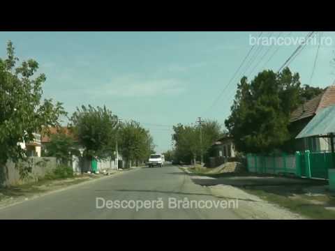 Descoperă Brâncoveni, Ociogi și Mărgheni