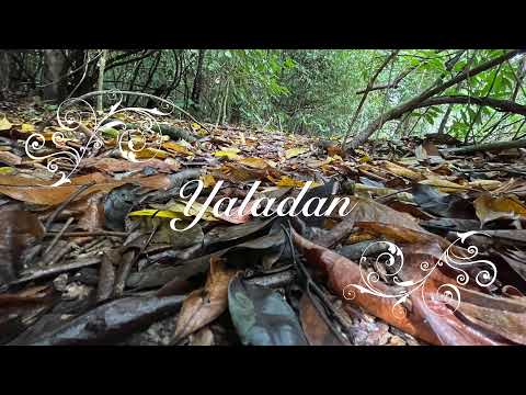 Sharifah Aini & Fadzil Ahmad | Yaladan HQ   HD 1080p