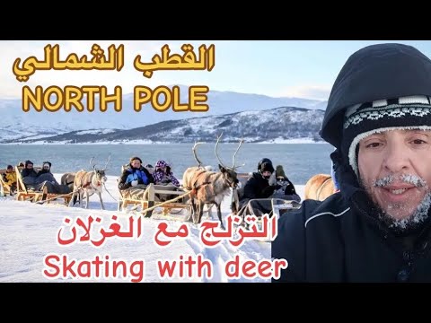img-video