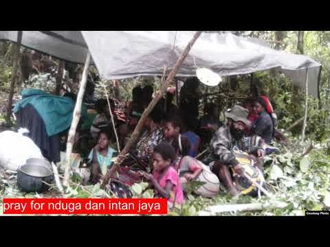 save nduga dan intan jaya _andex_