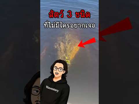 สัตว์ 3ชนิดที่คุณไม่อยากเจอมากที่สุด #สัตว์โลกน่ารัก #ความรู้ #fpy #shorts