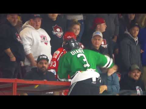 Diaby Fights Racist Fan in the Stands (Shoresy Reference Actually Happened)