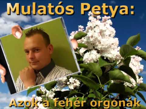 Mulatós Petya: Azok a fehér orgonák