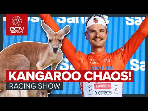 Kangaroo Crash & Total Chaos! | Jay Vine Wins The 2026 Tour Down Under  | GCN Racing News Show