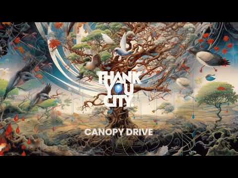 Thankyou City - Canopy Drive