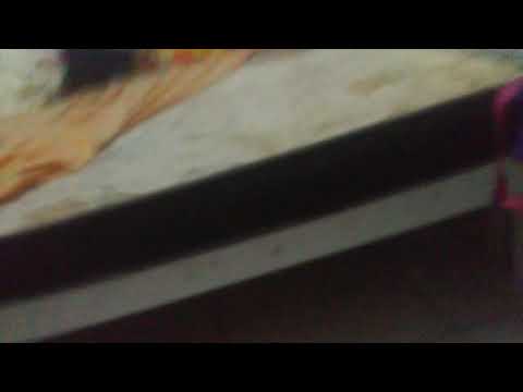 5 de janeiro de 2020