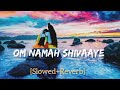 Om Namah Shivaaye Slowed Reverb Sachet Parampara NoCopyrightMusic
