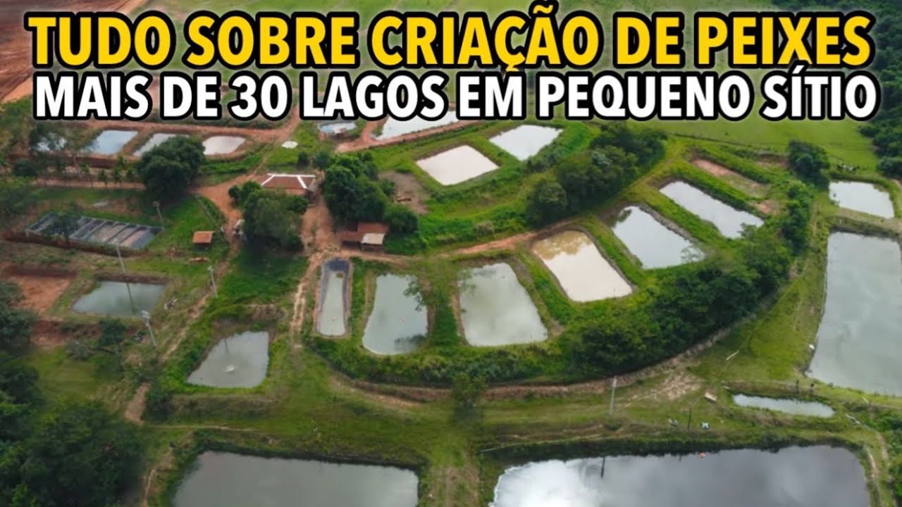 PISICULTURA EM CHÁCARAS OU PEQUENOS SÍTIOS