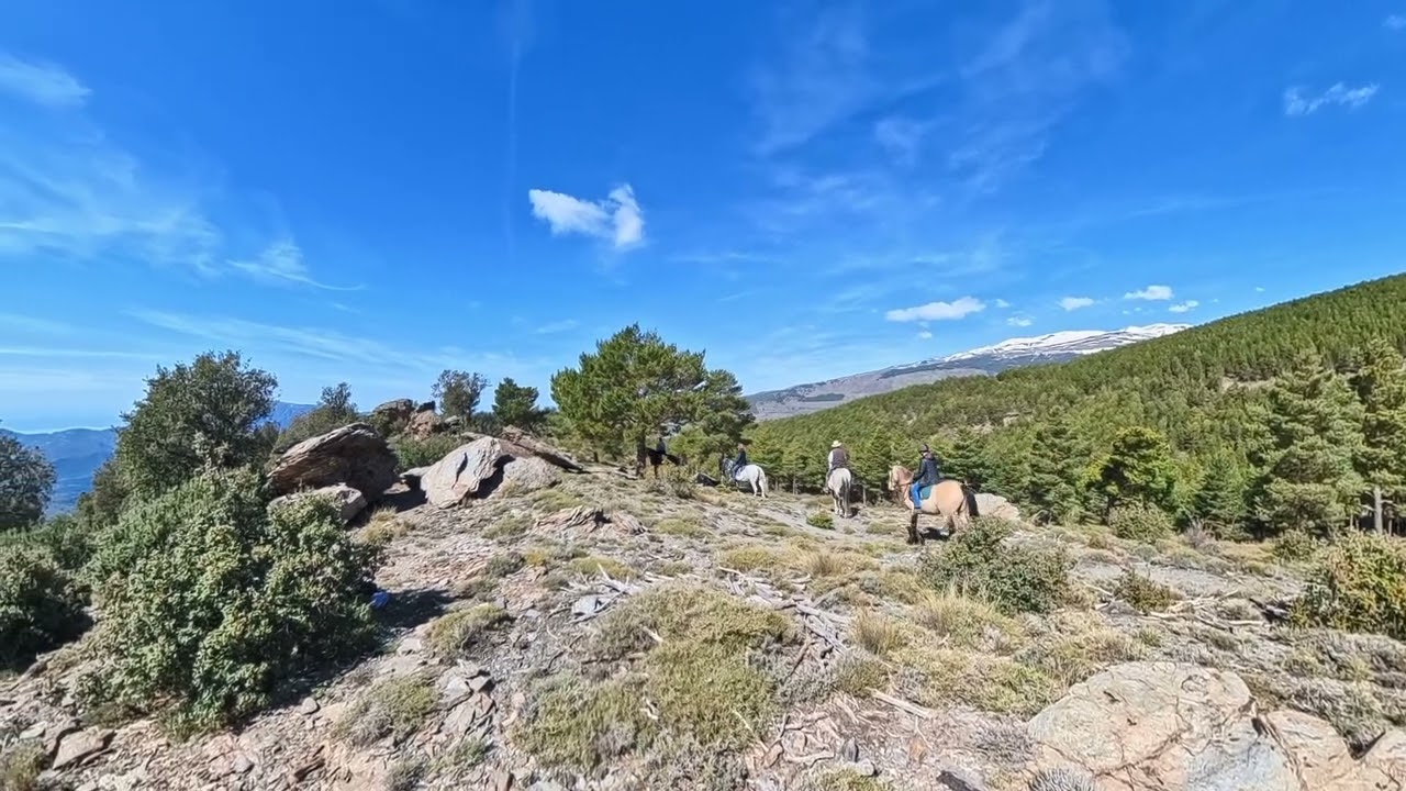 YouTube placeholder image