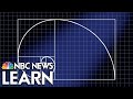The Golden Ratio: Divine Proportion From Math and Nature