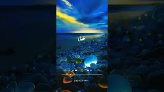Download lagu kannalane ennu kannal unna song ♥️ Tamil whatsapp status ♥️ Thani oruvan ♥️ AA Creations ♥️ mp3 Download lagu kannalane ennu kannal unna song ♥️ Tamil whatsapp status ♥️ Thani oruvan ♥️ AA Creations ♥️ mp3