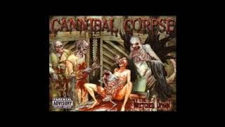 Cannibal Corpse The Wretched Spawn FULL ALBUM WITH LYRICS