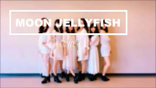MOON JELLYFISH（Flower）covered by Icsy　全体カメラ