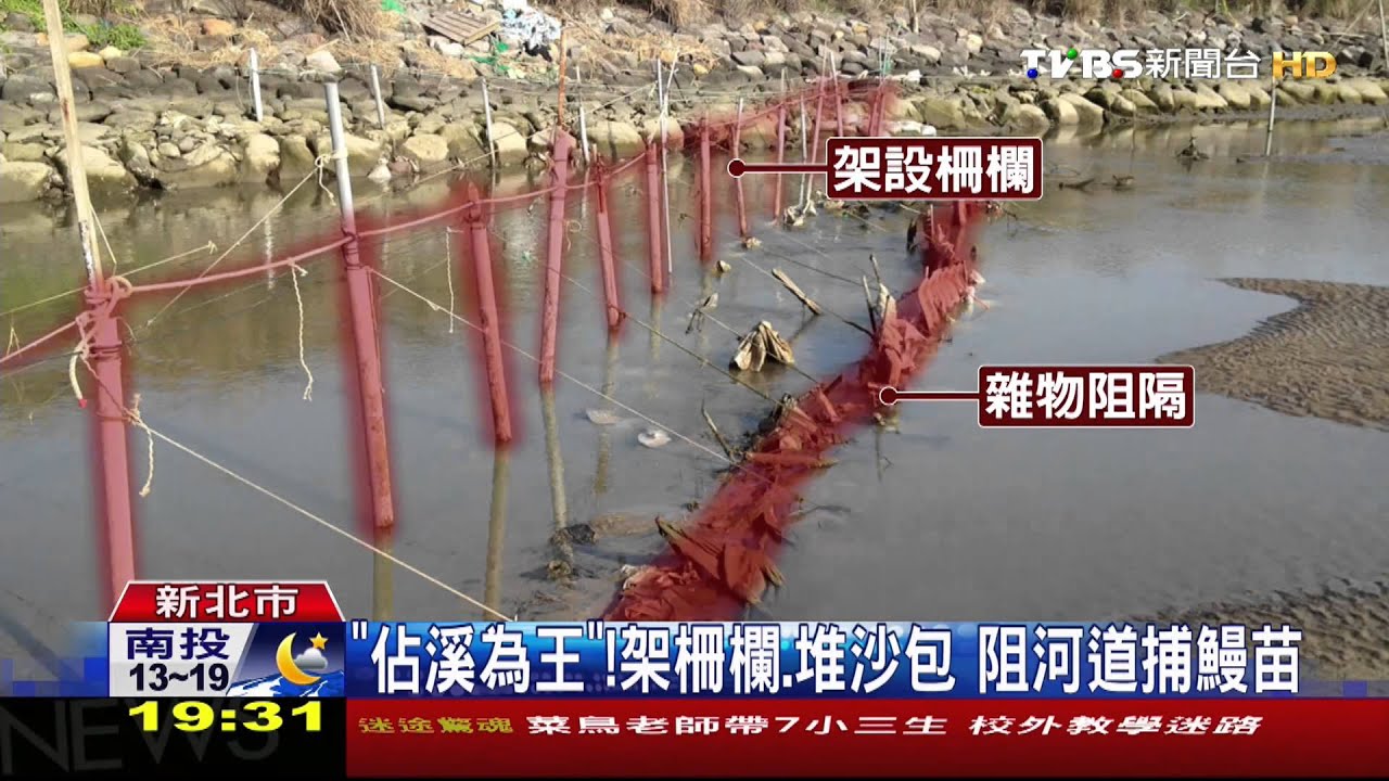佔溪為王！架柵欄、堆沙包　阻河道捕鰻苗