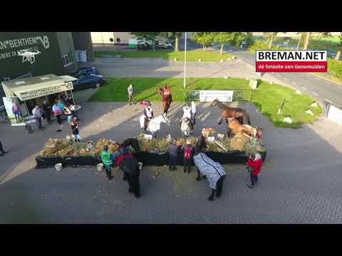 06-10-2018 Paarden Toertocht van Benthem Diervoeders Vollenhove