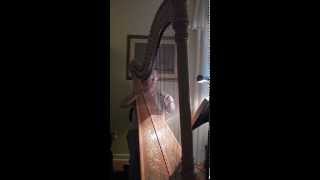 Back to You (Robin Spielberg) - played by Harpist-Miriam Shilling