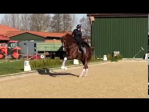 Asgard's Ibiza Training