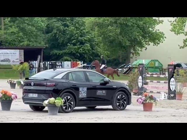 Vends cheval de sport de 8 ans