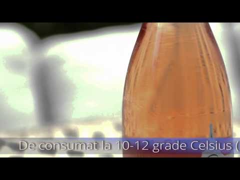 Trend Rose 2015 - episodul 1 - Colocviu la Paris Rose 2014