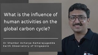 What is the influence of human activities on the global carbon cycle